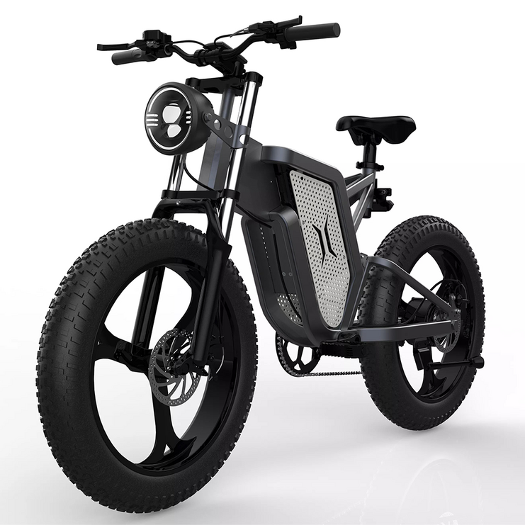 타이탄 MX2000 전기자전거 팻바이크 전동 스쿠터 클래식 오토바이 자토바이, 블랙