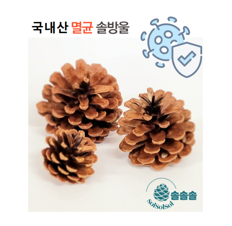 멸균 솔방울 국산 천연 인테리어 소품 공예 크리스마스 장식 멸균 솔방울 국산 천연 인테리어 소품 공예 크리스마스 장식