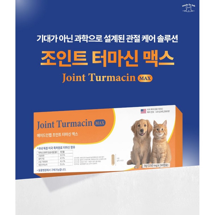강아지 관절영양제 조인트 터마신 맥스 메이드인랩, 1세트, 뼈관절강화, 12정